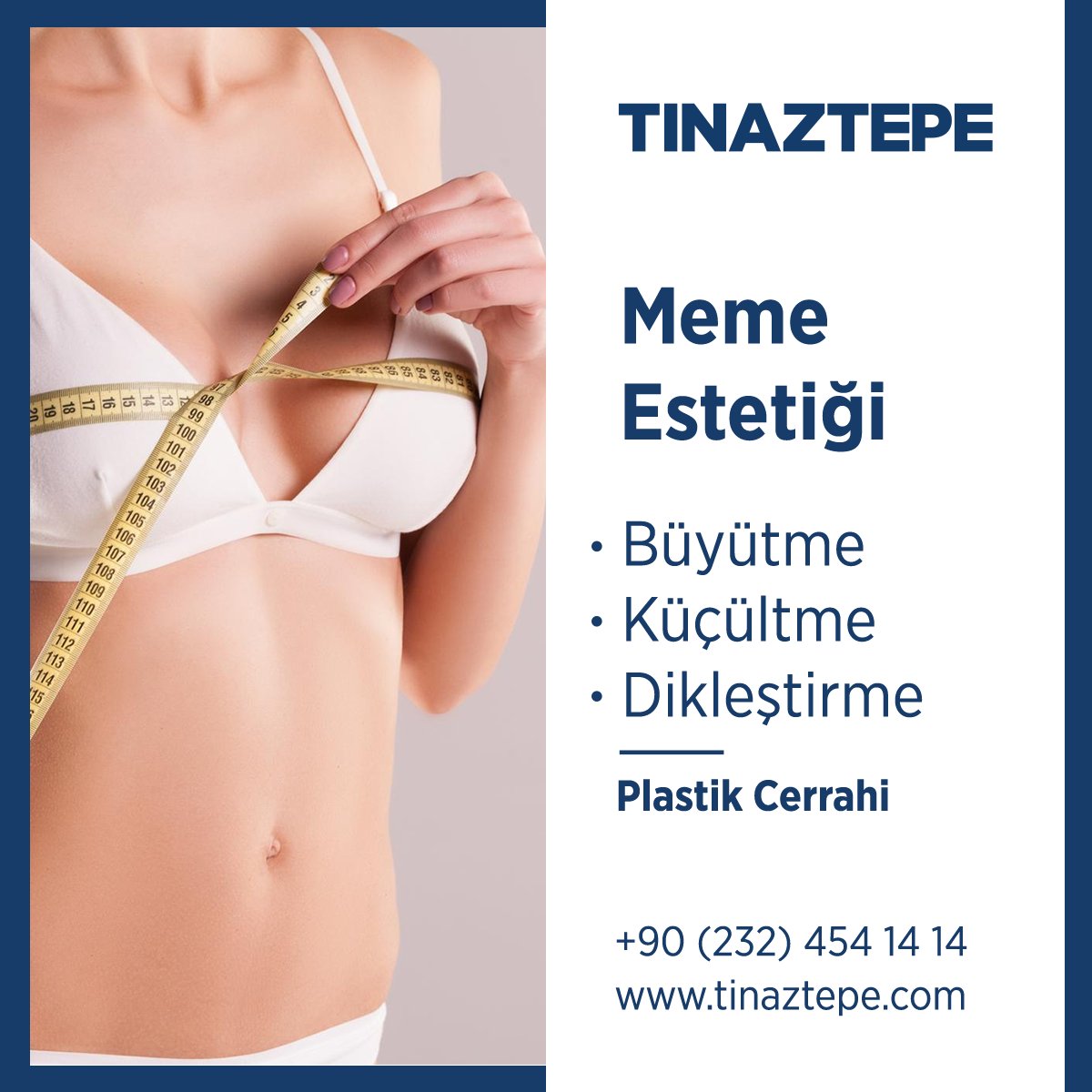 Meme Estetiği