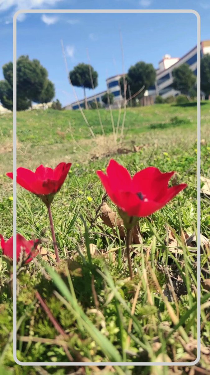 Manisa Celal Bayar Üniversitesi'nde Kampüsün Renkli Dünyası