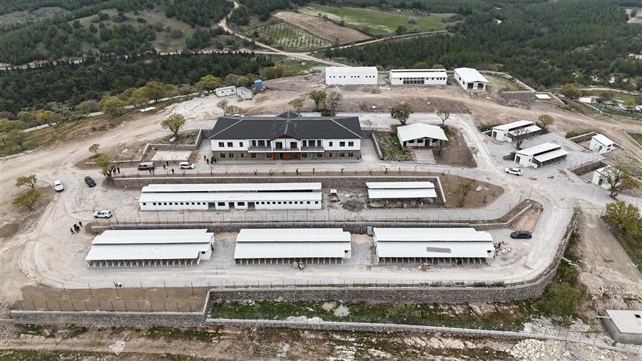 Sahipsiz Hayvanlar Korunma- Koruma Eylem Planı Kapsamında İlimizde Denetimler Gerçekleştiriliyor